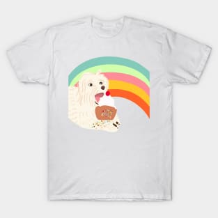 Rainbow Sweet! T-Shirt